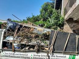Best Shed Removal  in Cornell, WI