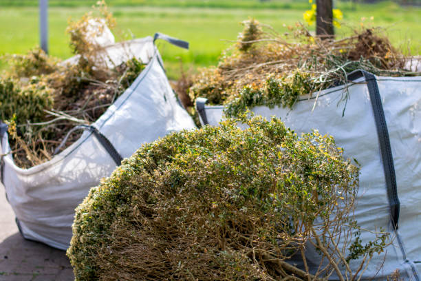 Best Appliance Removal  in Cornell, WI